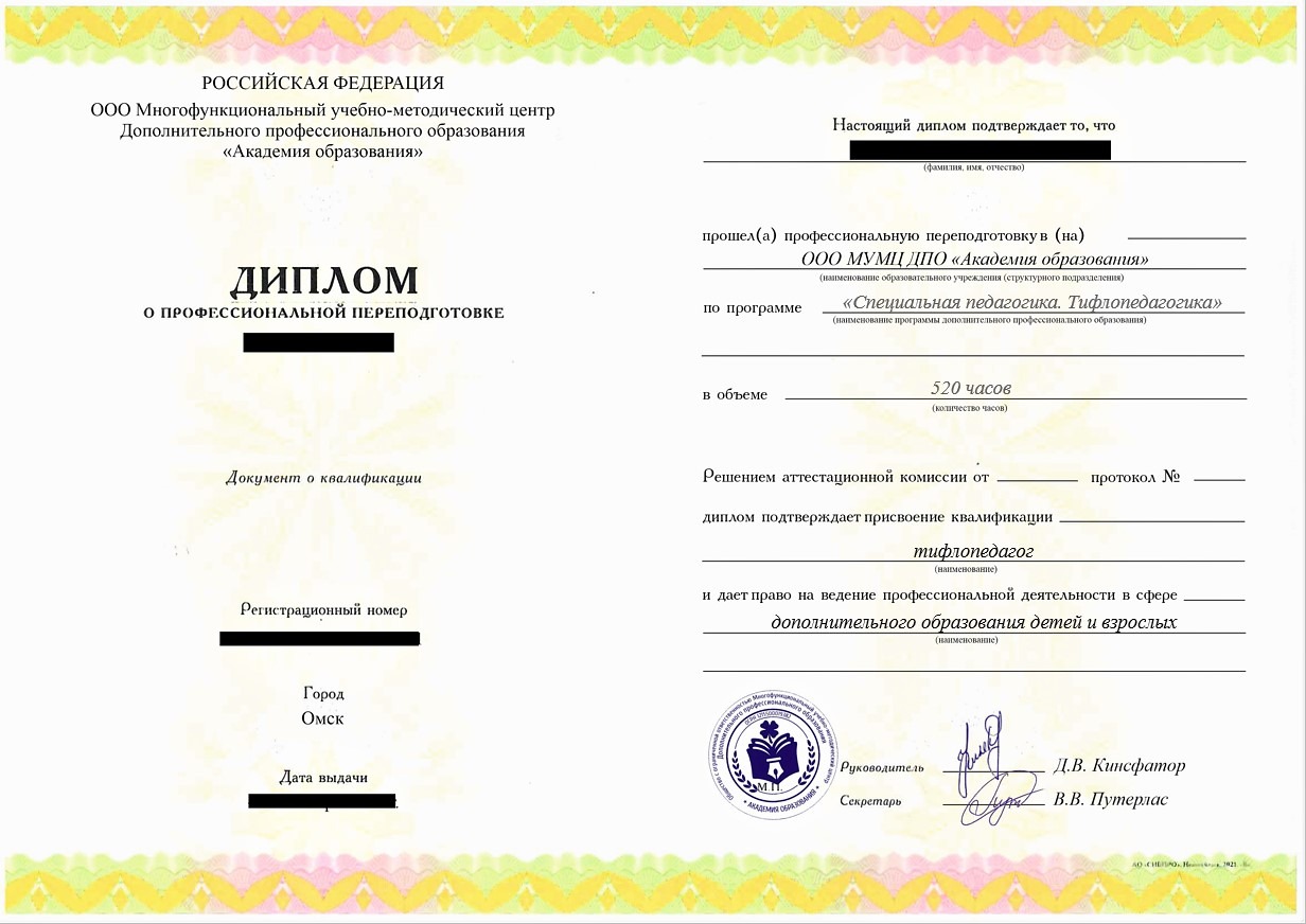 ПП Специальная педагогика. Тифлопедагогика, 520